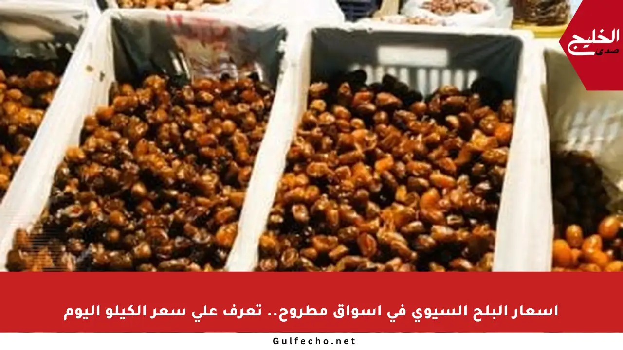 أسعار البلح السيوي في أسواق مطروح.. تعرف على سعر الكيلو اليوم